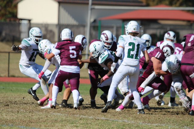 IMG-8201