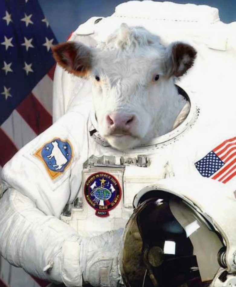 cow.png