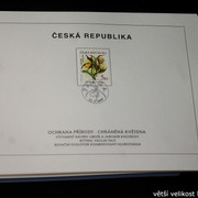 IMG-2137