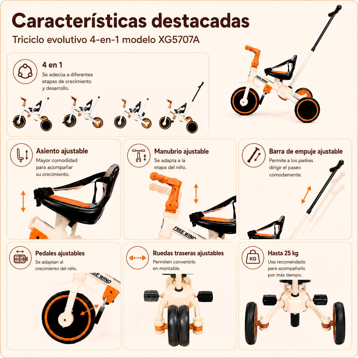 Infografía del triciclo definitiva