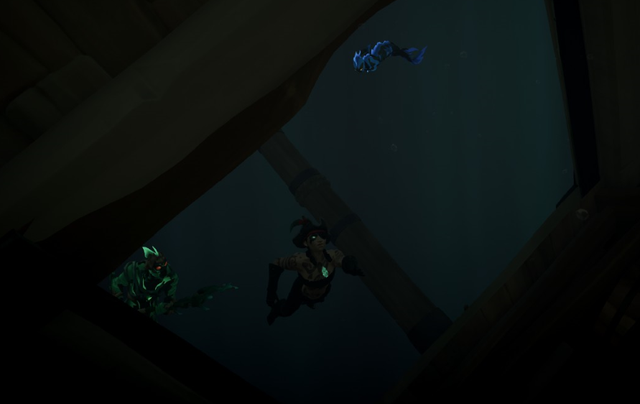picture for SOT competition