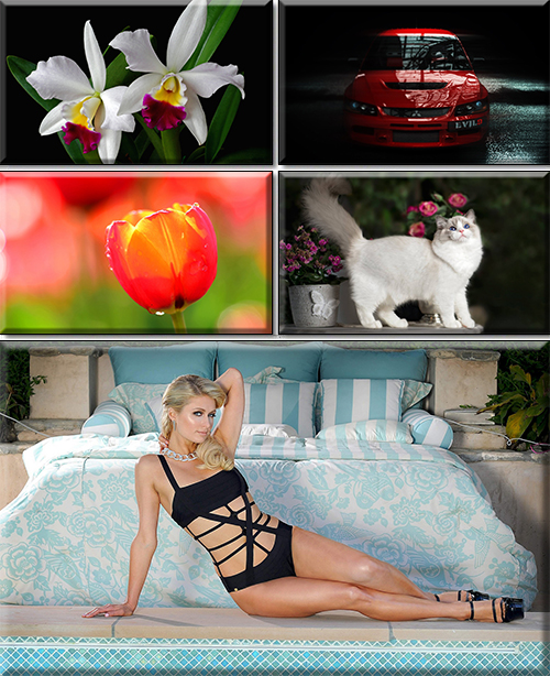 Quality Wallpaper In High Resolution. Part 363