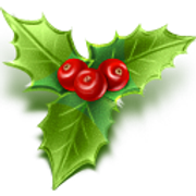 mistletoe