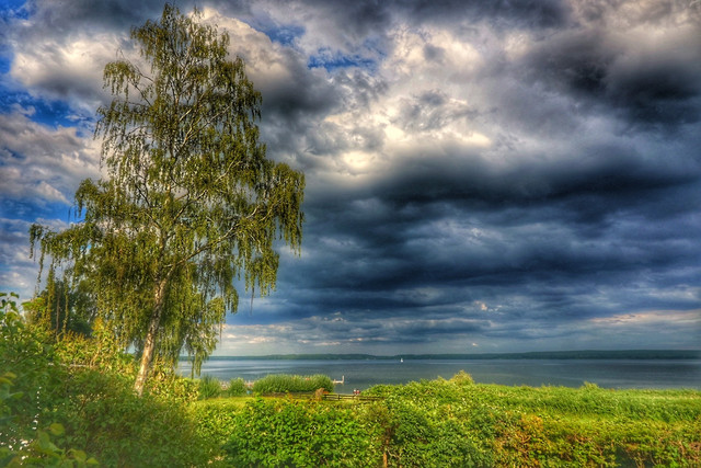 IMG-0428