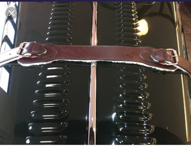 Bonnet-Strap-2