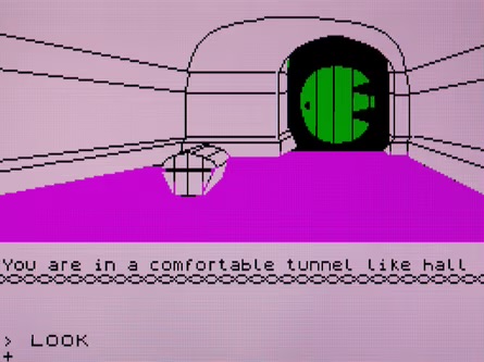 Who here has played text adventure/interactive fiction games