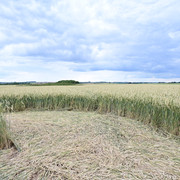 DSC-7043
