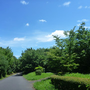 P1330903