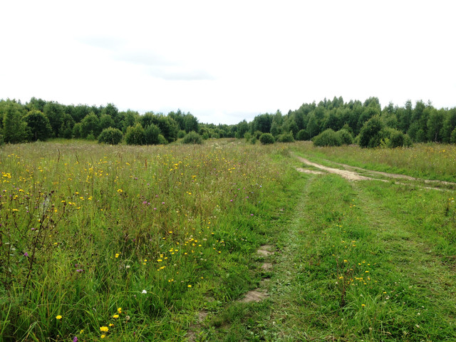 IMG-4002.jpg