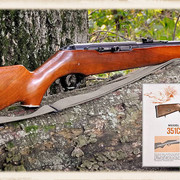Mossberg351c