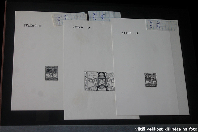 IMG-2357.jpg