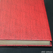 IMG-3619