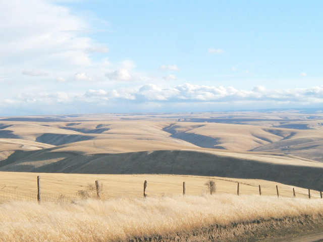 palouse02