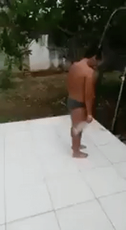 giphy.gif
