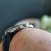 IMG-8342-01