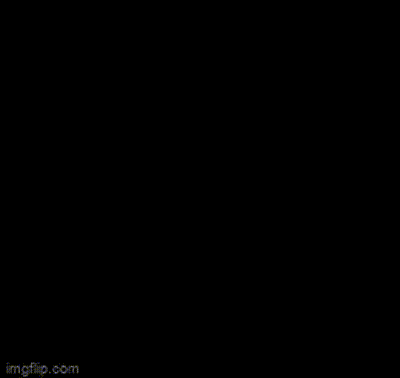 1000031401-1.gif