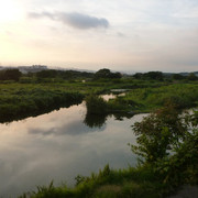 P1350154