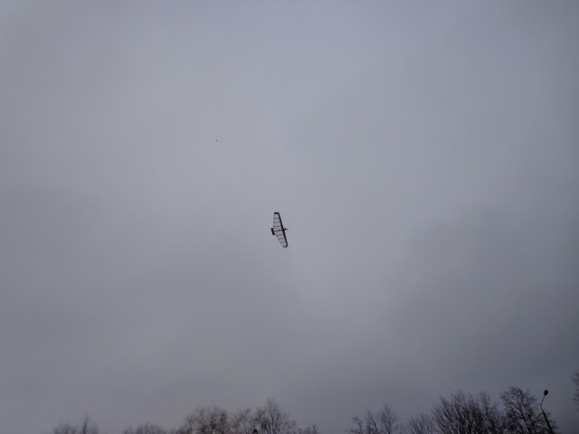 DSC03836.jpg