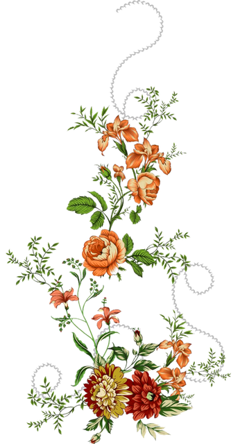 0829a21bc9773b66ad2cd30a8f0ea36e.png