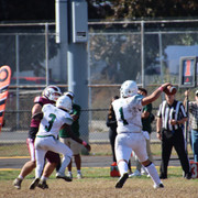 IMG-3458