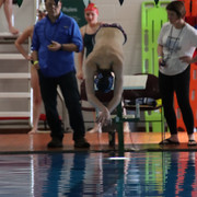 IMG-0104