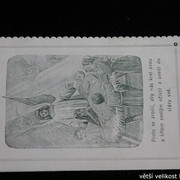 IMG-7004