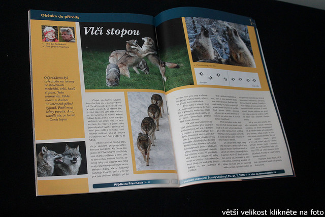 IMG-3335.jpg