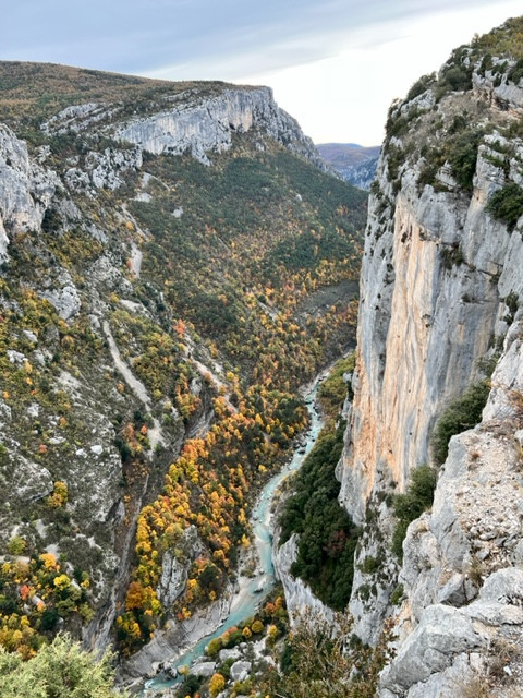 IMG-4384.jpg