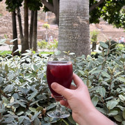 IMG-0779