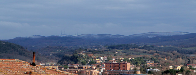 peglia1