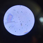 IMG-2755