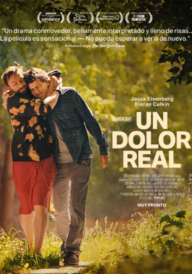 Póster de Un dolor real