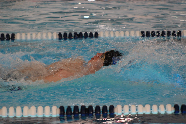 IMG-0338-2