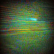 IMG 7537.jpg