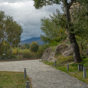 AA101014