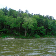 DSC05903