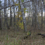 DSC7365-result
