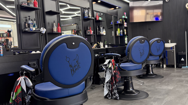 Farbenfroher Haarstil - Kreative Frisuren Wolf Friseur