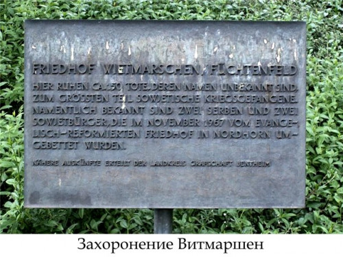 https://i.ibb.co/Gf8ZvBsp/image.jpg