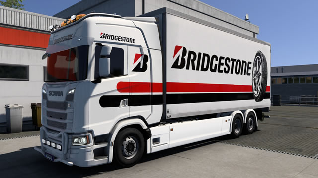 Skin DD Bridgestone