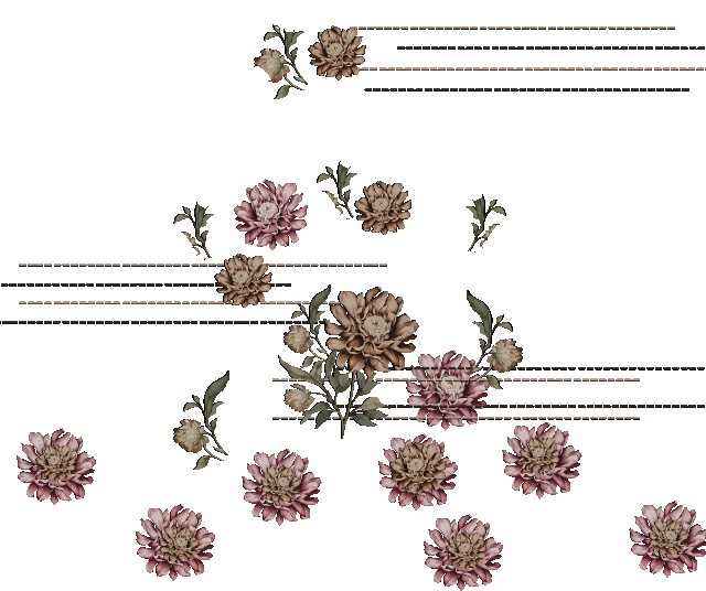 04.gif