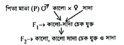 প্রশ্নের চিত্র