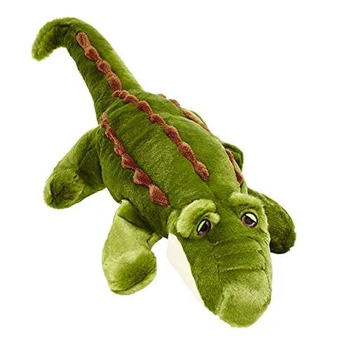 Debunking the Myth: Tug-of-War Does Not Cause Dog Aggression