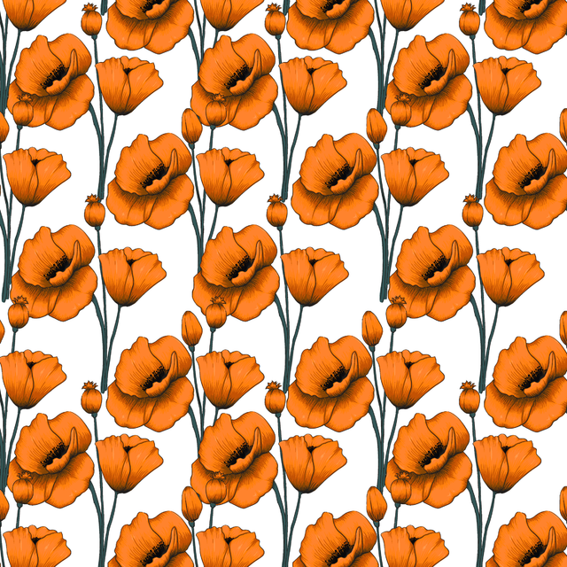 15537.png