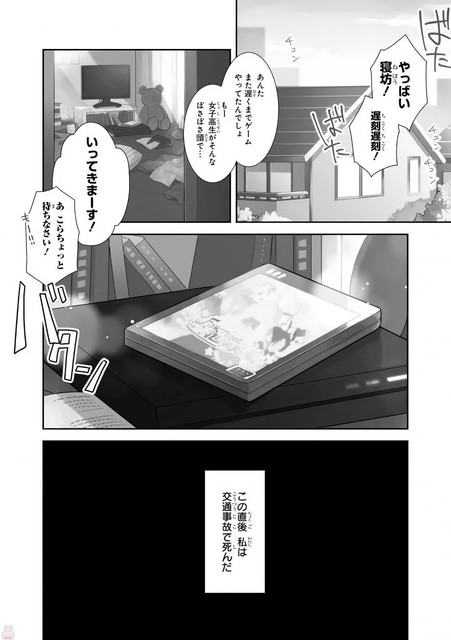 DLRAW-NET-0005