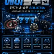 casinosolution vip guide