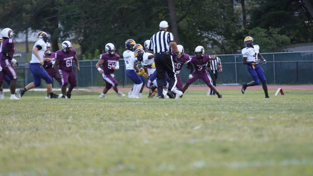 DSC1142.jpg