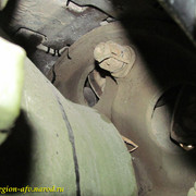 IMG-2879