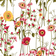 0e95a863738e640fc9f96d96110c252f.png