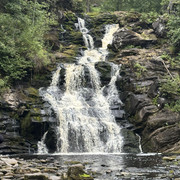 IMG 4451